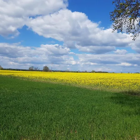 Apartament Inselhof Usedom Usedom Town Zewnętrze zdjęcie